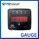 GAUGE